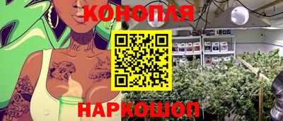трава Камышлов