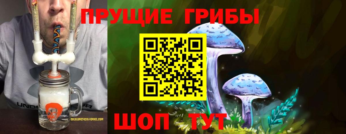 Краснодар  Псилоцибиновые грибы мицелий  Вход с VPN 